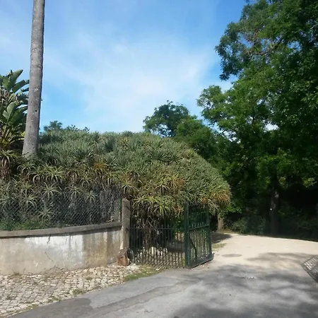 Memmo Principe Real, A Member Of Design